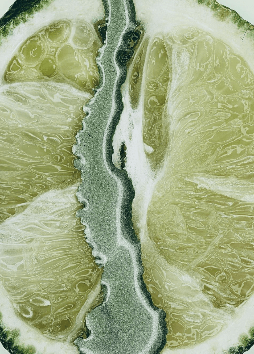 NOT EVERY BRAND NEEDS TO BE LOVED